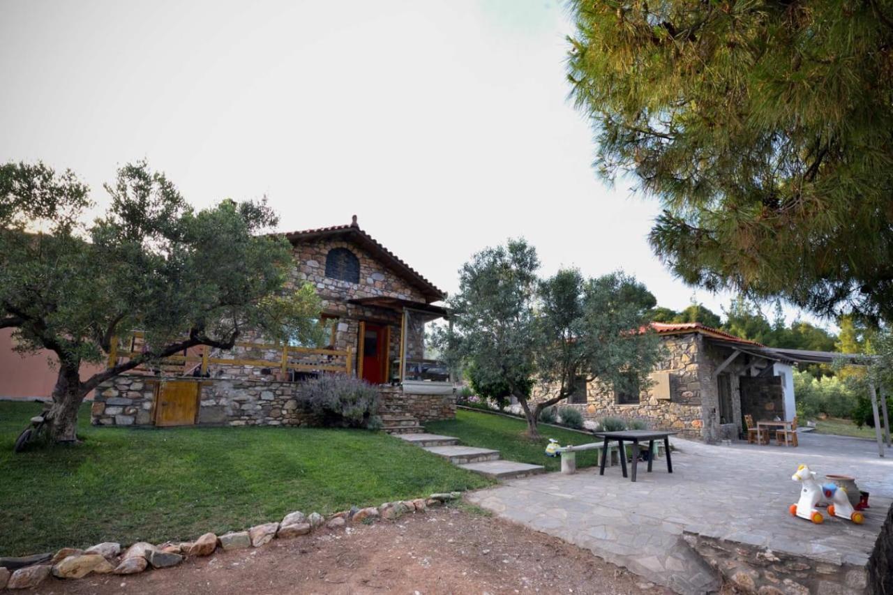 Villa Kladi House Renovated 2023 Nikiti  Exterior foto