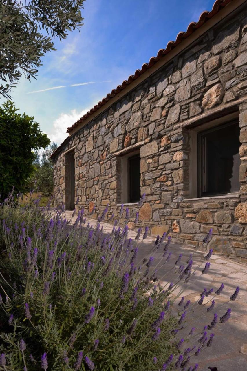 Villa Kladi House Renovated 2023 Nikiti  Exterior foto
